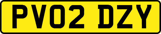 PV02DZY