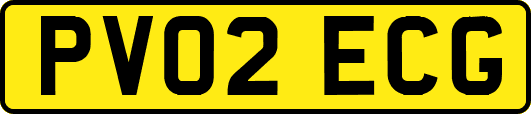 PV02ECG