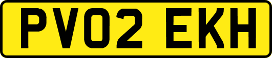 PV02EKH