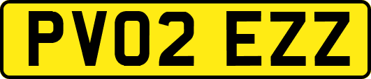 PV02EZZ