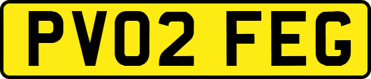 PV02FEG