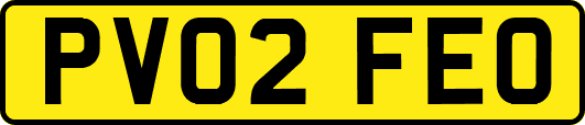 PV02FEO