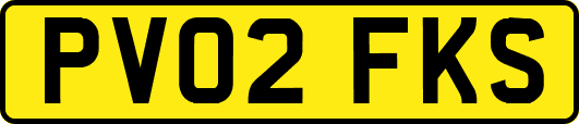 PV02FKS