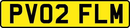 PV02FLM