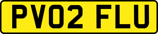 PV02FLU