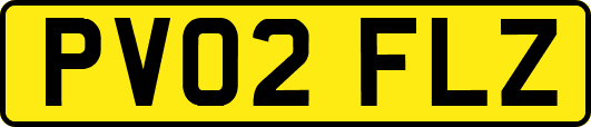 PV02FLZ