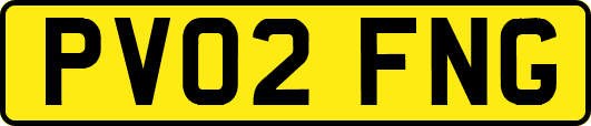 PV02FNG