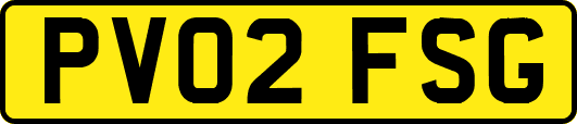 PV02FSG