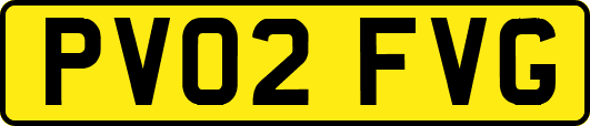 PV02FVG
