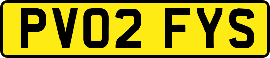 PV02FYS