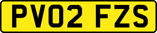 PV02FZS