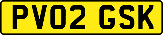PV02GSK