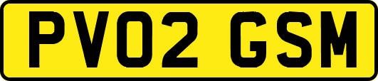 PV02GSM