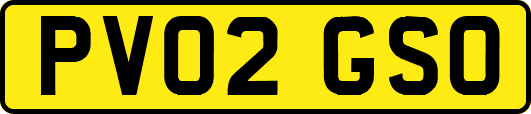 PV02GSO