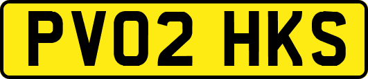 PV02HKS