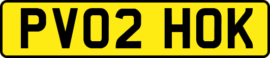 PV02HOK