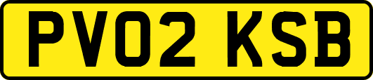 PV02KSB