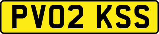PV02KSS
