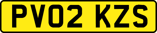 PV02KZS