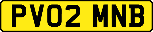 PV02MNB