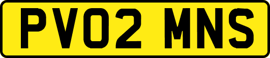 PV02MNS