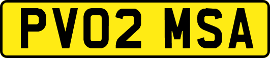 PV02MSA