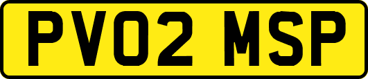PV02MSP