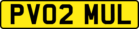 PV02MUL