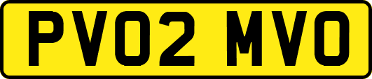 PV02MVO