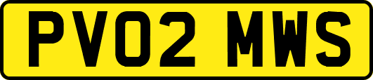 PV02MWS