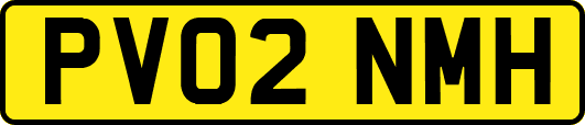 PV02NMH