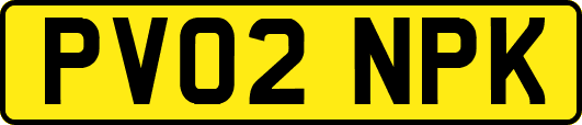PV02NPK