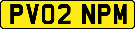 PV02NPM