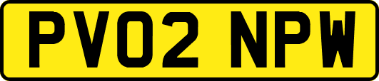 PV02NPW