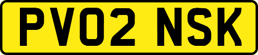 PV02NSK