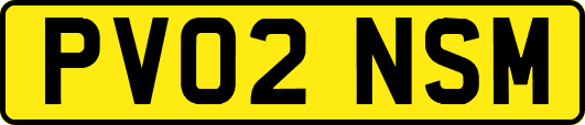 PV02NSM