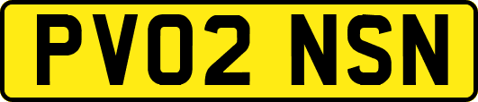 PV02NSN