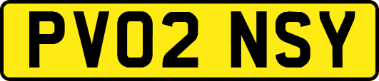 PV02NSY