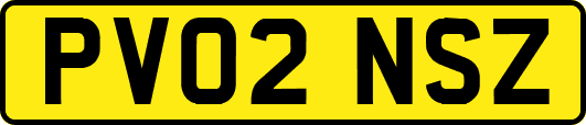 PV02NSZ