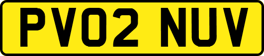 PV02NUV