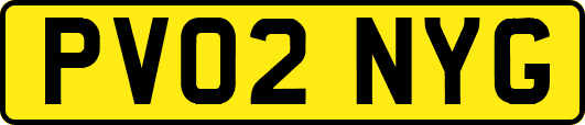 PV02NYG