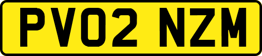 PV02NZM