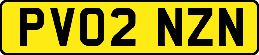 PV02NZN
