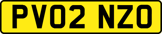 PV02NZO