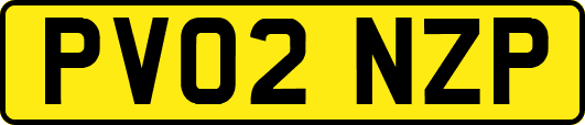PV02NZP