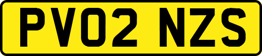 PV02NZS