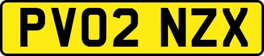PV02NZX