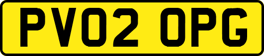 PV02OPG