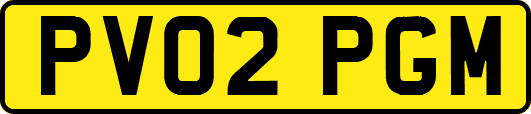 PV02PGM