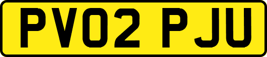 PV02PJU